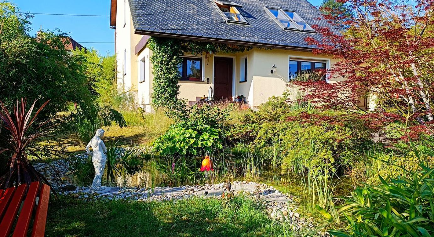 Ferienhaus Und Ferienwohnung "Am Waldsaum" Kurort Gohrisch Dış mekan fotoğraf
