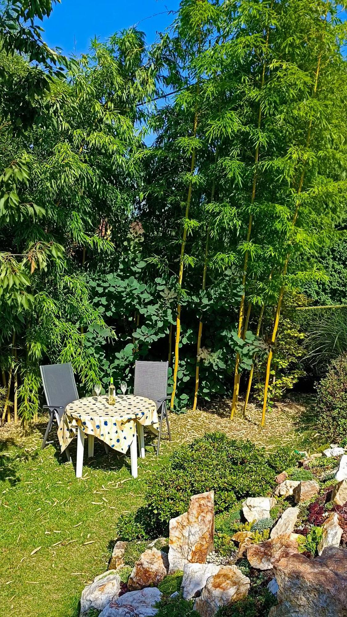 Ferienhaus Und Ferienwohnung "Am Waldsaum" Kurort Gohrisch Dış mekan fotoğraf