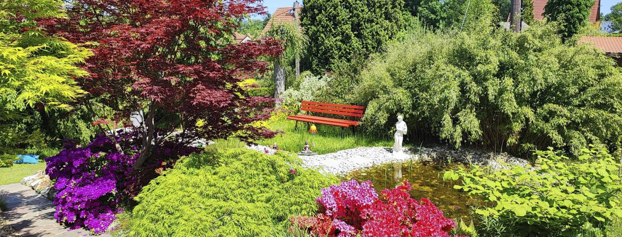 Ferienhaus Und Ferienwohnung "Am Waldsaum" Kurort Gohrisch Dış mekan fotoğraf